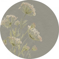 Lacy Wildflowers Collection C