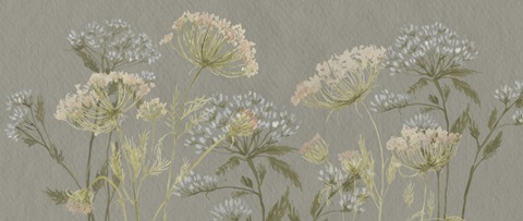 Lacy Wildflowers Collection D
