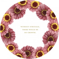 Modern Arrangement Collection C