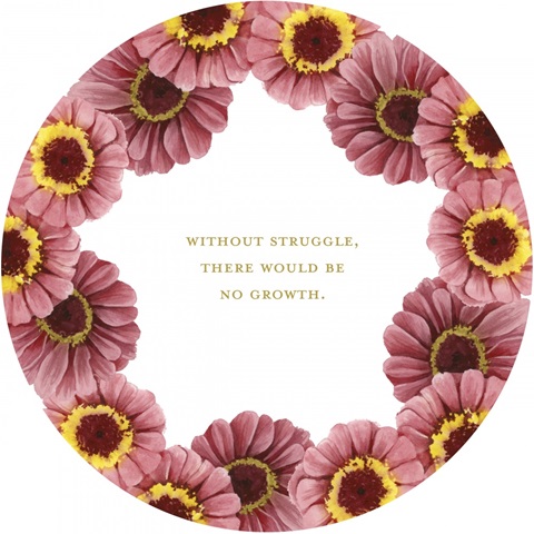 Modern Arrangement Collection C