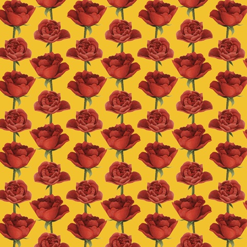 Modern Arrangement Collection I