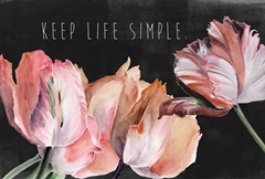 Pastel Parrot Tulip Collection A