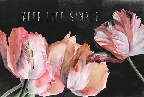 Pastel Parrot Tulip Collection A