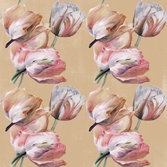 Pastel Parrot Tulip Collection F