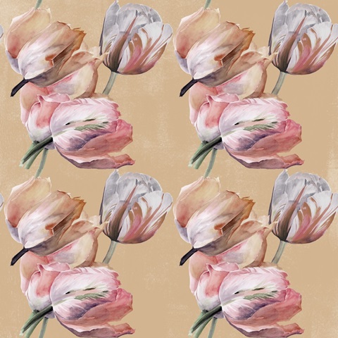 Pastel Parrot Tulip Collection F