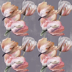 Pastel Parrot Tulip Collection G