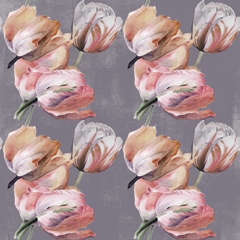 Pastel Parrot Tulip Collection G