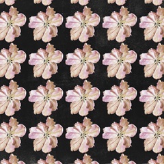 Pastel Parrot Tulip Collection I