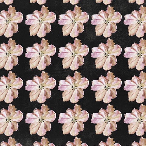 Pastel Parrot Tulip Collection I