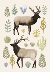 Sagebrush Prairie Collection B