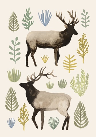 Sagebrush Prairie Collection B