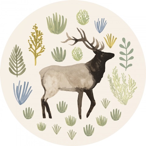 Sagebrush Prairie Collection C