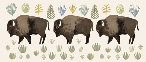 Sagebrush Prairie Collection D