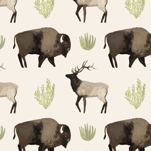 Sagebrush Prairie Collection F