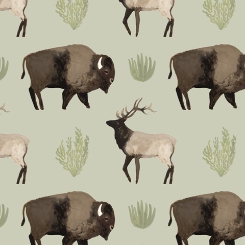 Sagebrush Prairie Collection G