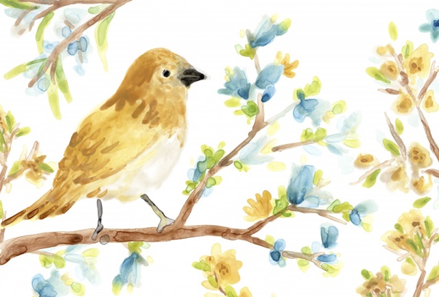 Springtime Songbirds Collection A
