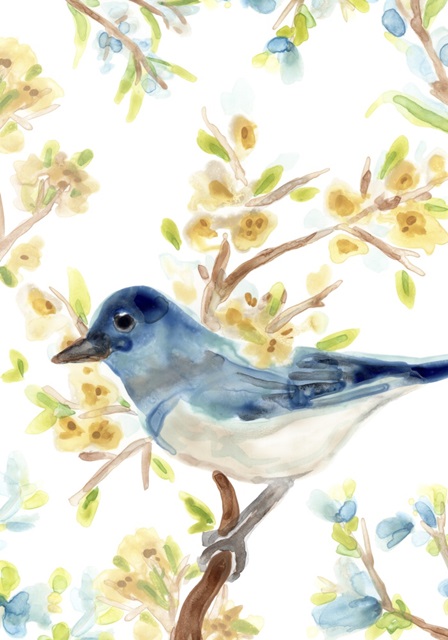 Springtime Songbirds Collection B