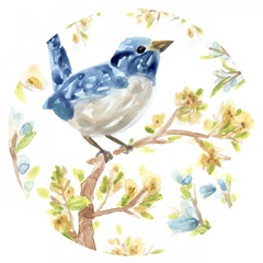 Springtime Songbirds Collection C