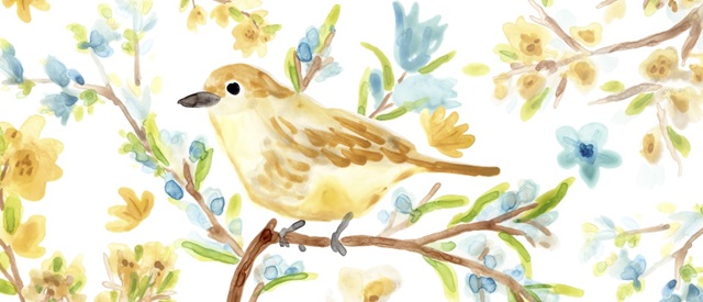 Springtime Songbirds Collection D