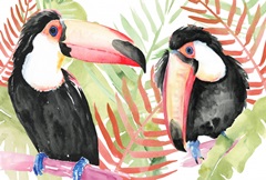 Toucan Palms Collection A