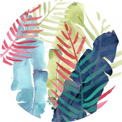 Toucan Palms Collection C