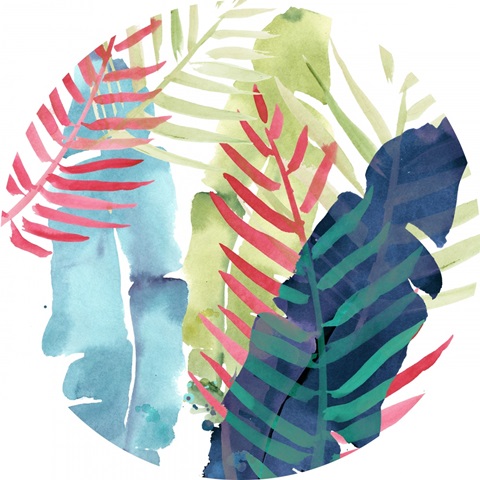 Toucan Palms Collection C