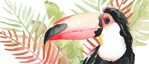 Toucan Palms Collection D