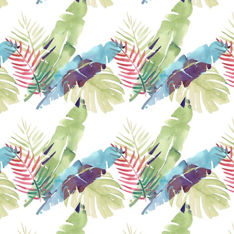 Toucan Palms Collection F