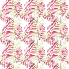 Toucan Palms Collection H