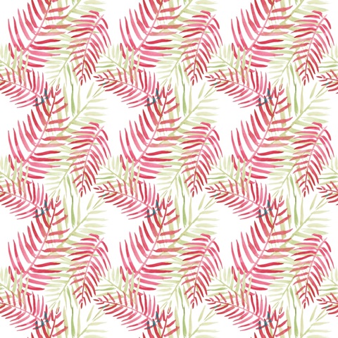 Toucan Palms Collection H