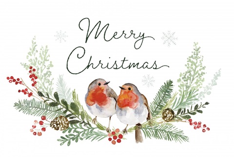 Winter Visitor Collection A