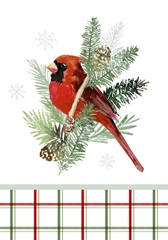 Winter Visitor Collection B