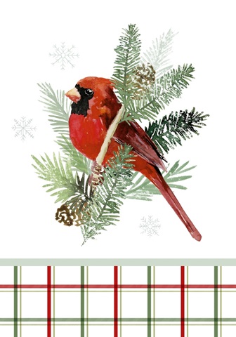 Winter Visitor Collection B