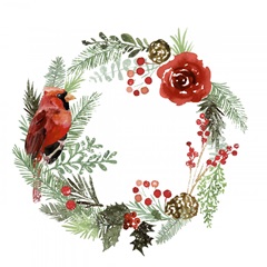 Winter Visitor Collection C