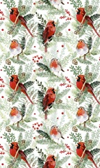 Winter Visitor Collection E