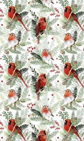 Winter Visitor Collection E