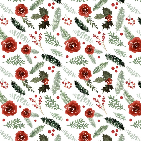 Winter Visitor Collection H