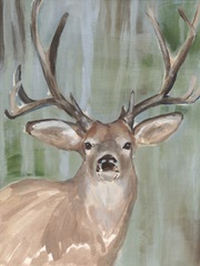 Roaming Buck I