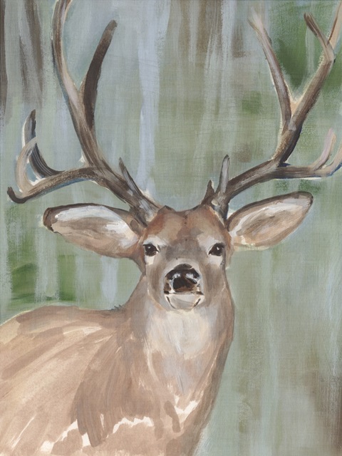 Roaming Buck I