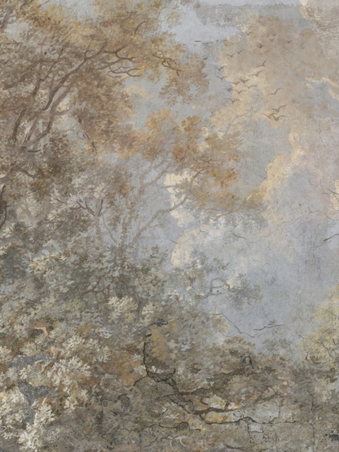 Forest Fresco I