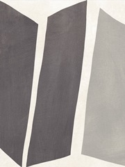 Colorblock Artifact I