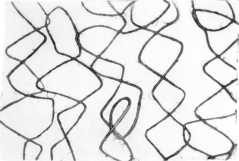 No Deckle - Frequency I