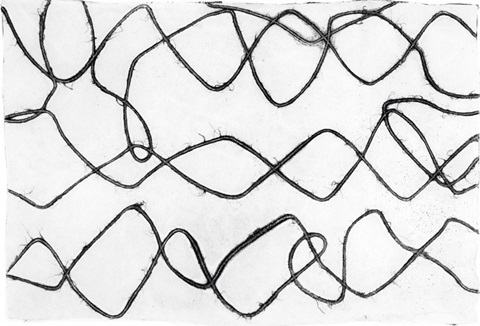 No Deckle - Frequency II