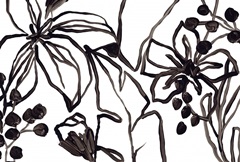 Tropical Outlines Collection A