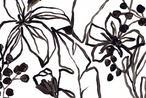 Tropical Outlines Collection A