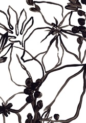 Tropical Outlines Collection B