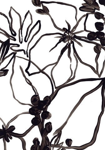 Tropical Outlines Collection B