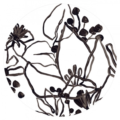 Tropical Outlines Collection C