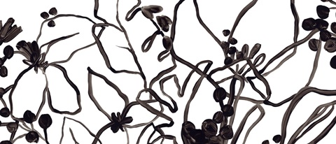 Tropical Outlines Collection D