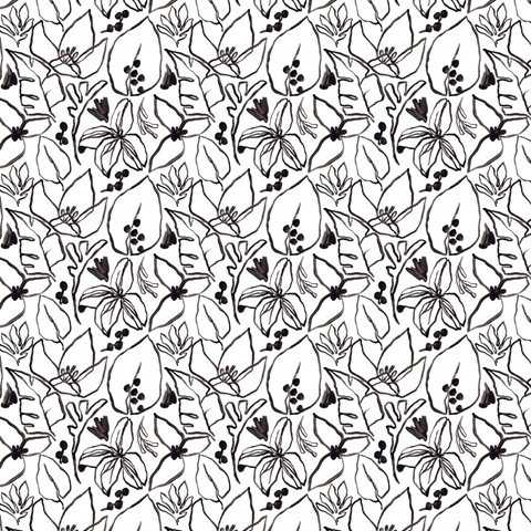 Tropical Outlines Collection F